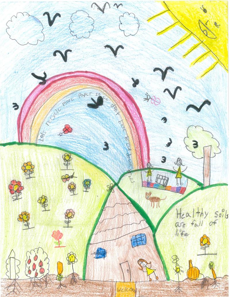 Conservation Poster Contest Franklin Soil and Water Conservation District